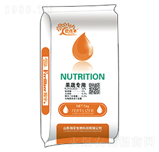 ���ߌ���-�������