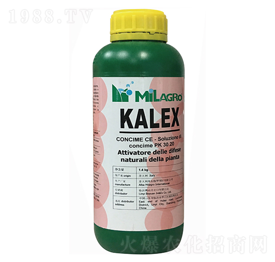 �������-���h