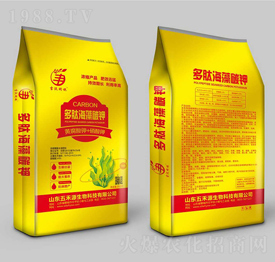 ���ĺ���̼�-���Դ����