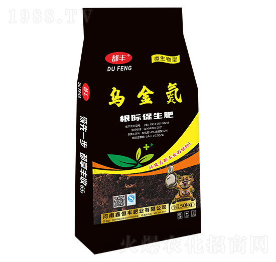 ����-�κ��S