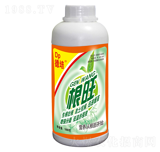 1000g�������-���(y��ng)��