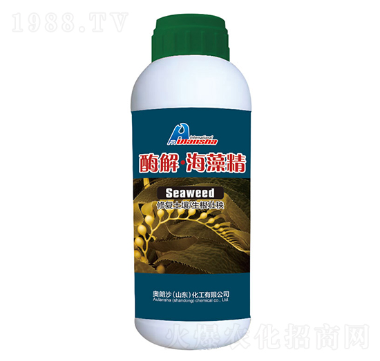 ø�⡤���徫-�W��ɳ