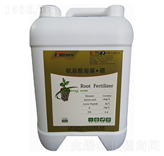 �����ả�塤��-�ֲ���