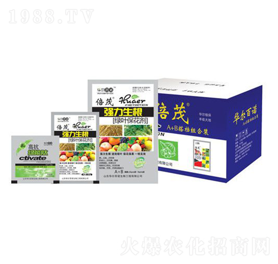 ���������G�~������-�A�����Z