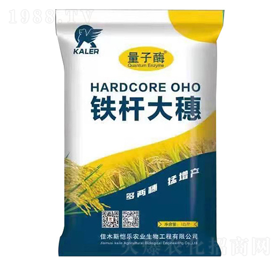 �F�U����-���r(n��ng)�I(y��)