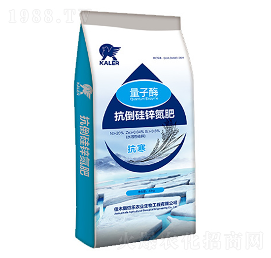 �������\����-����ø-��(l��)�r(n��ng)�I(y��)