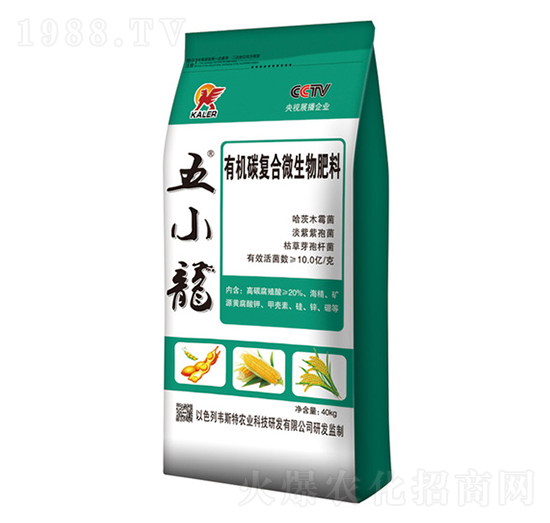 �ЙC(j��)̼΢�������-��С��-��(l��)�r(n��ng)�I(y��)