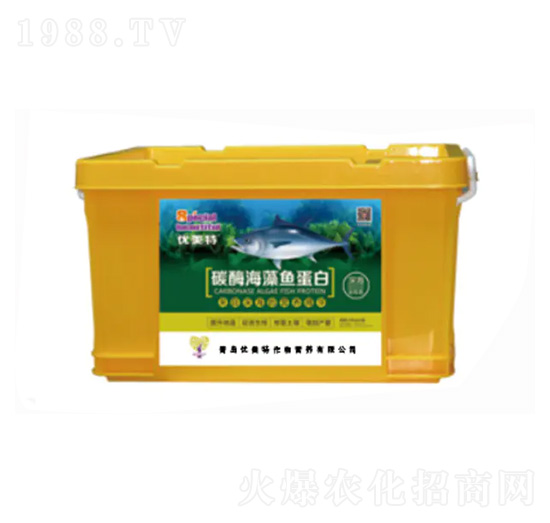 ø�⺣���~(y��)����-��(y��u)����