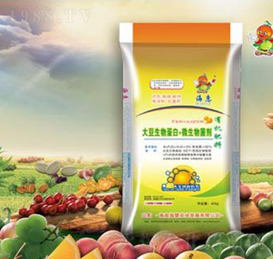 �����ﵰ��΢�������-����