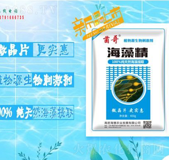 ���徫-����