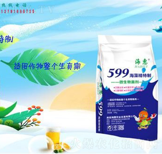 599���徫����-����