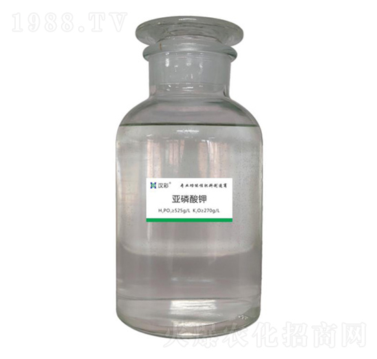 525g�������-�h�����B(t��i)