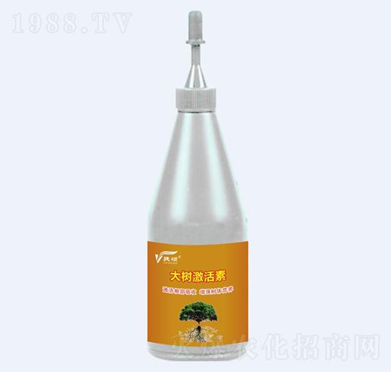 ���(sh��)������-�ݠ��S����