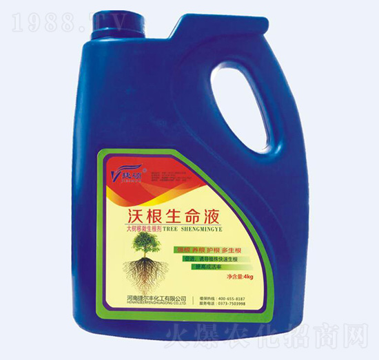 �ָ�����Һ-�ݠ��S����