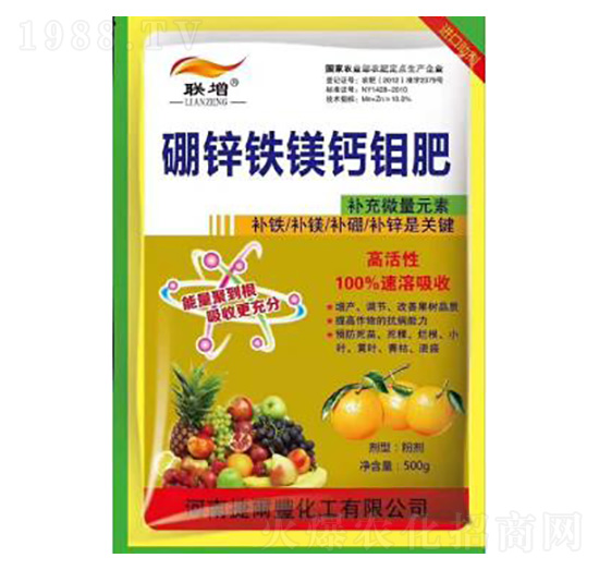 ���\�F�V�}�f��-�ݠ��S����