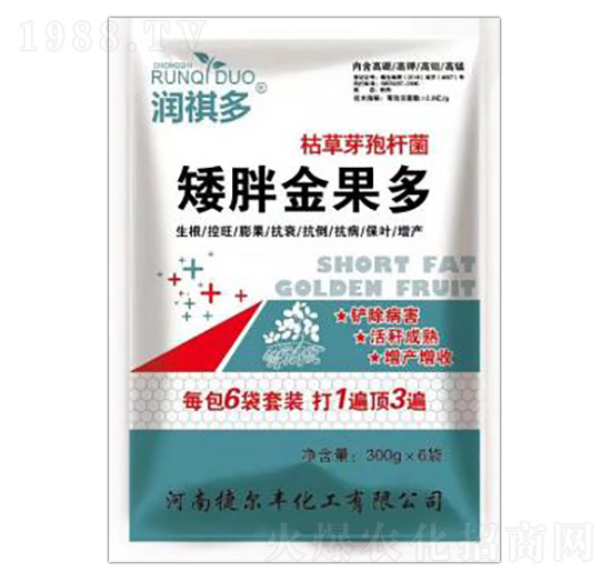 �ݲ�ѿ�ߗU��-���ֽ����-�ݠ��S����