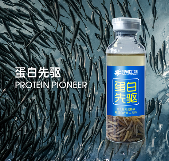 �������(q��)-�ɕ�����