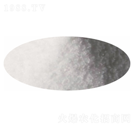 �Ȼ��-�P�����d