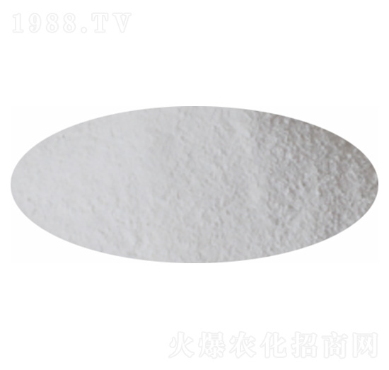 �����(NOP)-�P�����d