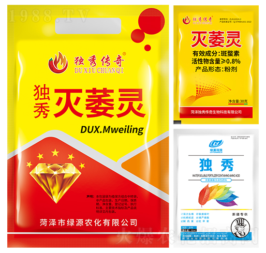 �����ή�`-�������