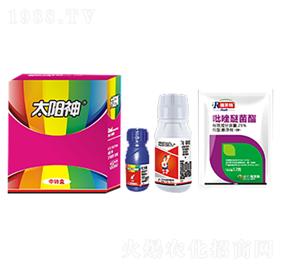 ����̫���-��������