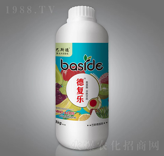 �����ᡤ���׸���-�͘�-��˹��