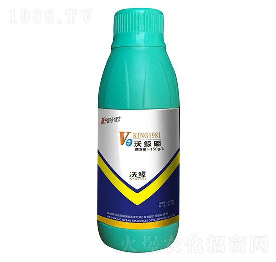 ���L��-���L