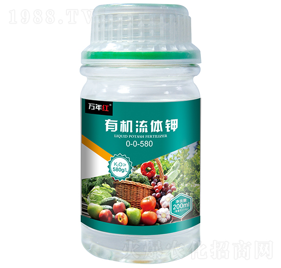 �ЙC(j��)���w�-�f(w��n)��t-�Z�\(ch��ng)��