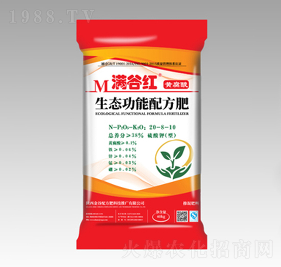 �S�������B(t��i)���܏ͺϷ���20-8-10-�M�ȼt-����䷽��