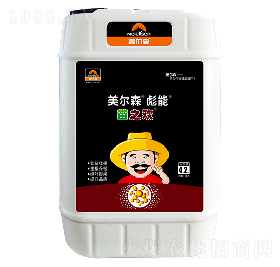 ��֮�g-����-����ɭ