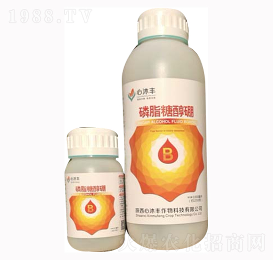 ��֬�Ǵ���-�����S