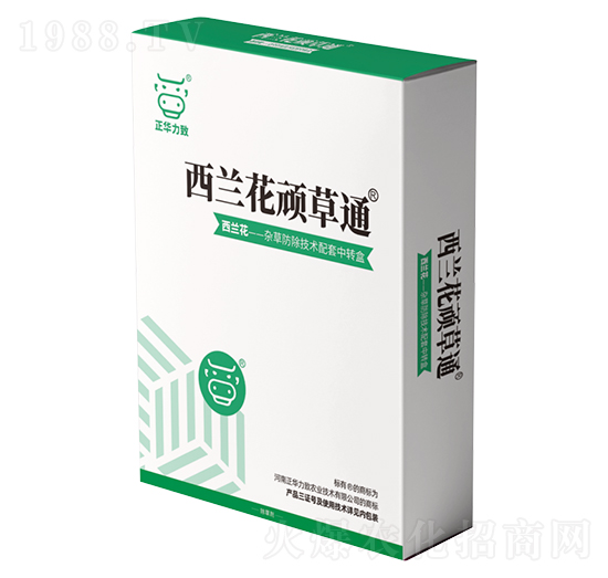 ���m���B��ͨ-���A����