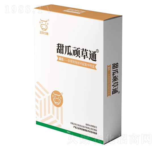 ����B��ͨ-���A����