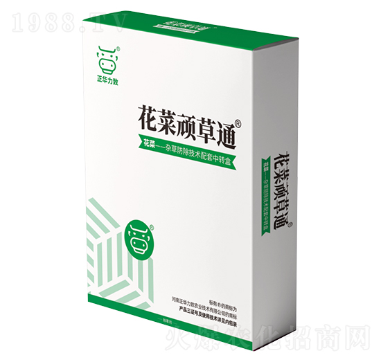 �����B��ͨ-���A����