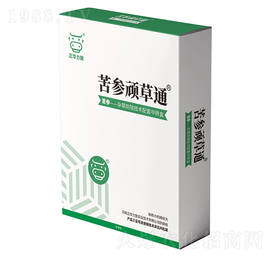 �����B��ͨ-���A����