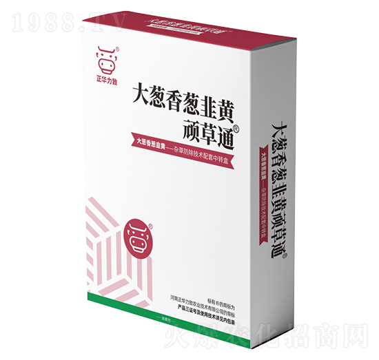 ���[�����[�����S�B��ͨ-���A����