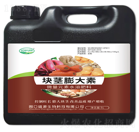 �K�o�����-ʢԴ