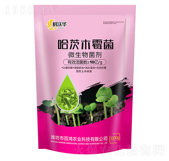 ����ľù��-�����r(n��ng)�I(y��)