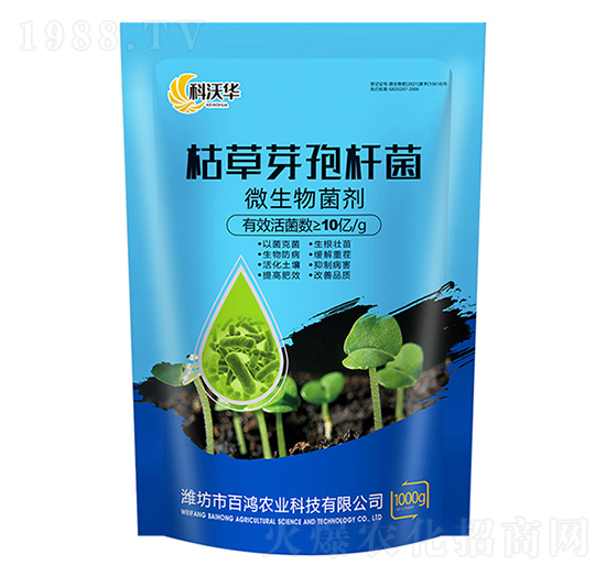 �ݲ�ѿ�ߗU��-�����r�I(y��)