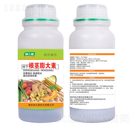 ���o�����-�����r(n��ng)�I(y��)