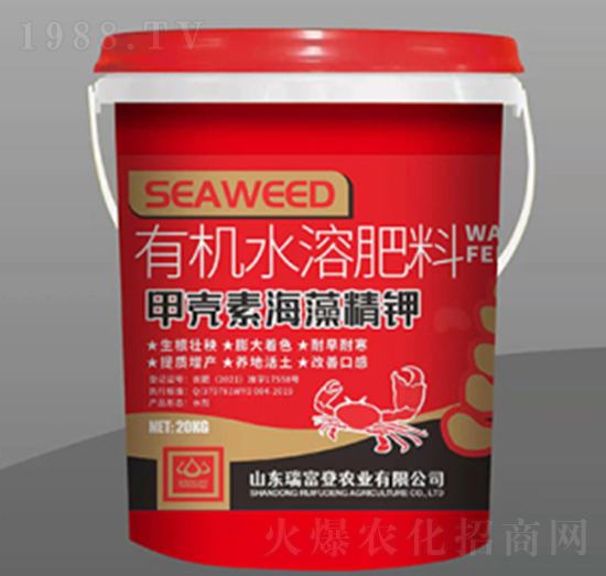 �ך��غ��徫�-�𸻵�