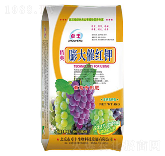 ���߼t�-�����ʘI(y��)