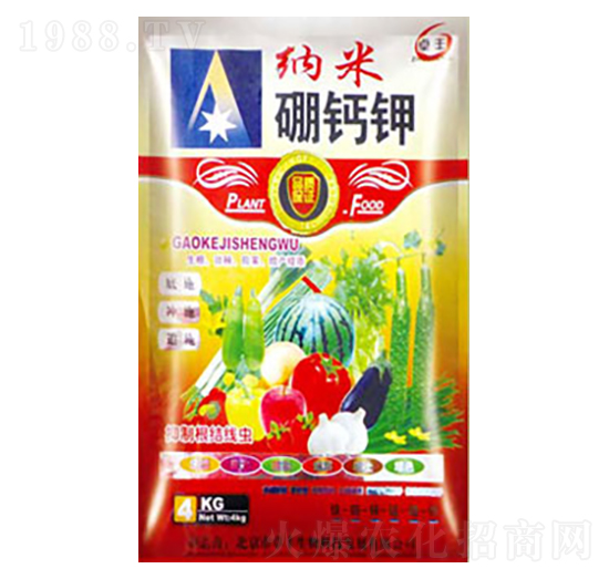 �{�����}�-�����ʘI(y��)