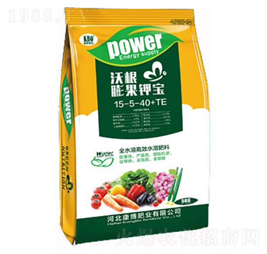 �ָ����⛌�-�����ʘI(y��)