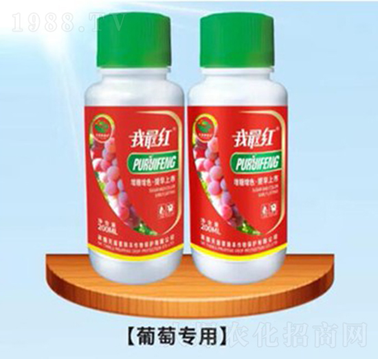 ���ь����~���-�����ʘI(y��)