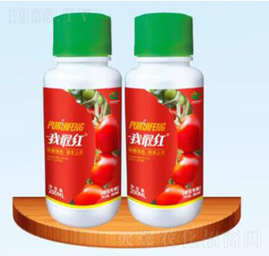 ���ь����~���-�����ʘI(y��)