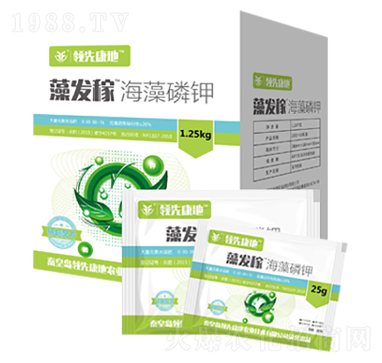 ��l(f��)�ں������-�I�ȿ���