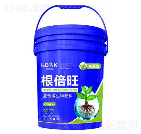 ��(f��)��΢�������-������-�˰ſ�