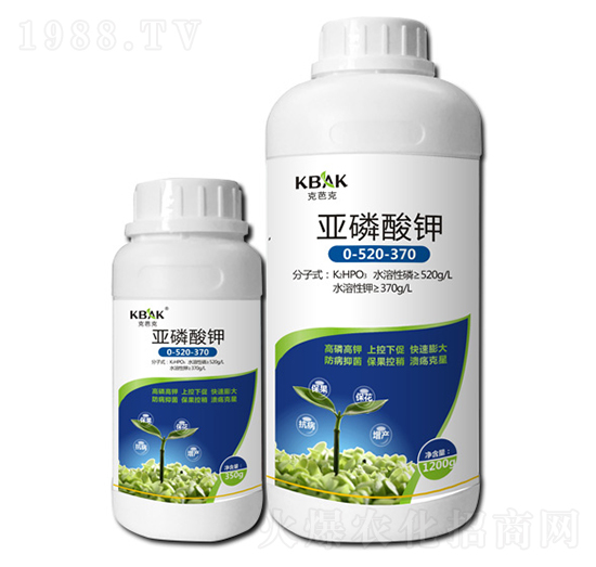 �������0-520-370-�˰ſ�