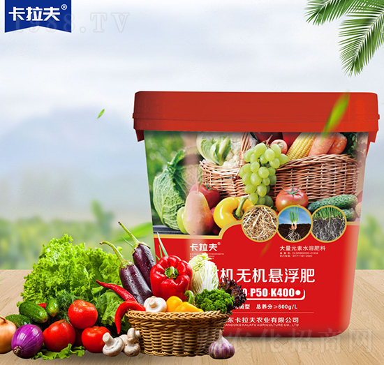 �ЙC(j��)�o�C(j��)�Ҹ��ʣ��t��-������